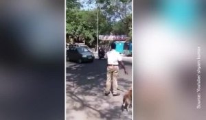 Beau moment de solidarité : un policier aide un chien à traverser