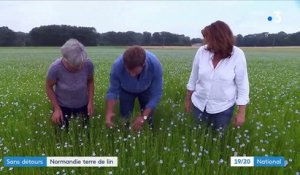 Normandie : à la découverte d'une terre de lin