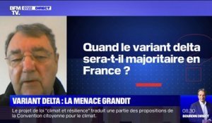 Gérard Dubois (membre de l'Académie de médecine) estime que le variant Delta sera majoritaire en France d'ici "4 à 6 semaines"