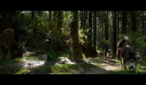 SIBERIA Trailer (2021) Willem Dafoe, Fantasy Horror Movie ...