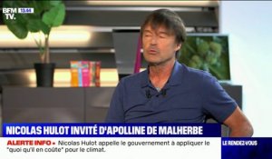 Nicolas Hulot: "L'histoire, tous les jours, donne raison à l'écologie"