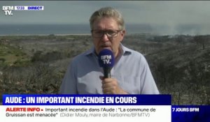 Incendie dans l'Aude: "Aucune habitation n'a été touchée, aucun véhicule n'a été détruit" pour l'instant, selon le maire de Narbonne