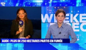 Aude: plus de 250 hectares partis en fumée - 03/07