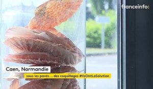 À Caen, des pavés en coquillages recyclés pour lutter contre le réchauffement climatique