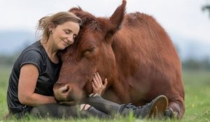 Cette femme a noué une amitié incroyable avec un taureau, qu'elle a sauvé d'une mort certaine