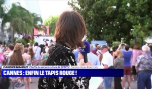 Festival de Cannes: enfn le tapis rouge ! - 06/07