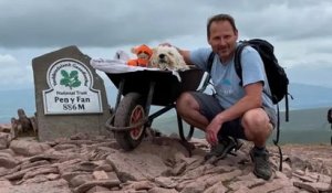 Cet homme a emmené son chien atteint d'un cancer faire une dernière promenade sur son itinéraire favori
