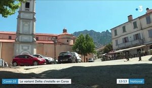 Corse : inquiétude autour de l'arrivée du variant Delta