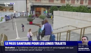 Si les Français veulent voyager en cars, trains, ou avions cet été, ils devront présenter un pass sanitaire