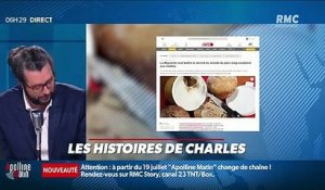 « Les 3 histoires de Charles Magnien » : Record du plus long sandwich aux riettes en Mayenne - 13/07