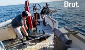 Au large de Bastia, Sébastien pratique une pêche "artisanale"