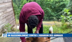 A la Une : Un député menacé de mort / Des pompiers de la Loire au secours de la Belgique / Un rassemblement contre l'abandon des animaux
