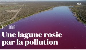 En Argentine, une lagune devient rose après le déversement de produits chimiques polluants