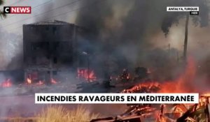 Incendies ravageurs en Méditerranée