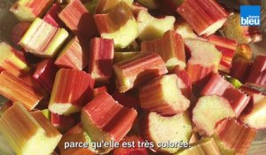 C'est  si bon la rhubarbe rouge