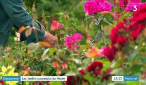 Seine-Maritime : les jardins suspendus du Havre invitent au voyage