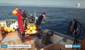 Corse : miser sur un modèle de pêche durable