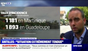 Sébastien Lecornu sur le Covid-19 aux Antilles: "Tous les médecins en réanimation me disent que le pire est à craindre"