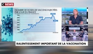 Anne-Laure Blin : «On n’a pas le niveau de santé en France qui peut répondre aux contaminations»