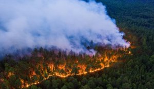 Les incendies de forêt en Sibérie sont plus importants que tous les feux du reste du monde