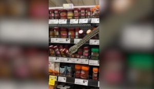 Un serpent filmé dans un rayon de supermarché à Sydney