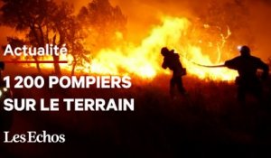 Dans le Var, 1 200 pompiers luttent contre le feux