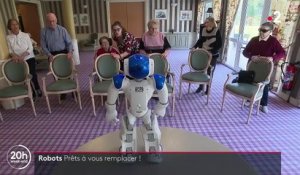 Robots : Elon Musk se lance dans la course aux machines humanoïdes