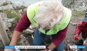 Bretagne : les sentiers côtiers de la presqu'île du Crozon, un paradis sauvage pour les randonneurs