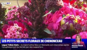 Les petits secrets floraux du château de Chenonceau
