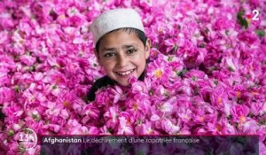 Afghanistan : une photographe rapatriée en France depuis Kaboul témoigne