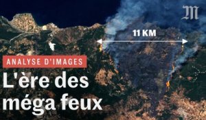 Incendies géants : pourquoi les feux de forêt sont de plus en plus violents