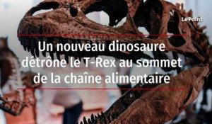 Un nouveau dinosaure détrône le T-Rex au sommet de la chaîne alimentaire