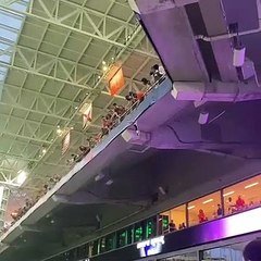 Un Chat Sur Le Point De Faire Une Chute Mortelle De Plusieurs Metres Mobilise Le Public Cette Nuit Au Hard Rock Stadium De Miami