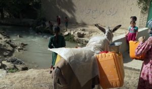 Crise alimentaire en Afghanistan : la FAO réclame des fonds d'urgence