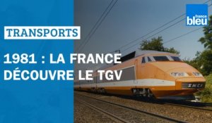 TGV : en 1981, les Français découvrent le train à grand vitesse