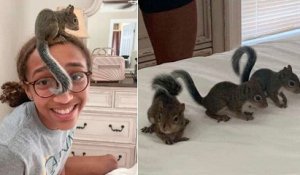 Une adolescente sauve trois bébés écureuils orphelins après la destruction de leur nid par l'ouragan Ida