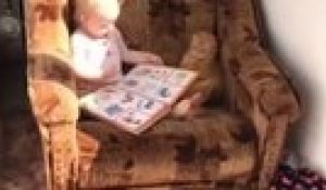 Des Bebe Se Marrent En Regardant Des Chats Compilation Trop Marrante Sur Orange Videos