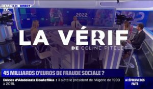 LA VÉRIF - Y a-t-il 45 milliards d'euros de fraude sociale en France ?