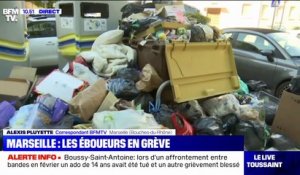Grève des éboueurs: l'inquiétude des Marseillais face aux poubelles qui débordent