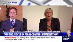 Pieyre-Alexandre Anglade (LaREM) sur les propositions de Marine Le Pen sur l'immigration: "Elle est surtout la candidate du brassage de vent'