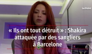 « Ils ont tout détruit » : Shakira attaquée par des sangliers à Barcelone