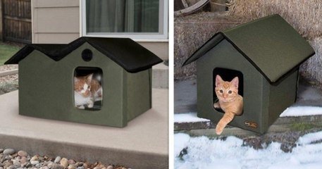 Une Entreprise A Cree Une Cabane D Exterieur Pour Chat Qui Est Chauffee Pour Permettre Au Felin De Ne Pas Avoir Froid Sur Orange Videos