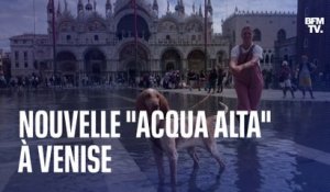 Italie: les images d'une nouvelle "acqua alta" à Venise
