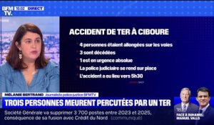 4 personnes percutées par un TER: le trafic reprend progressivement, la police judiciaire se rend sur place