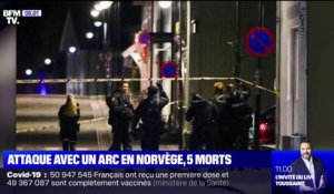 Norvège: un homme armé d'un arc tue 5 personnes et en blesse 2