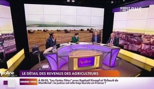 L’info éco/conso du jour d’Emmanuel Lechypre : Les détails des revenus des agriculteurs - 18/10