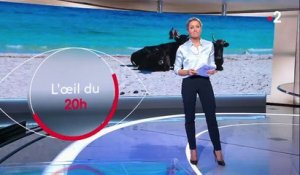 Les primes à la vache en Corse, un scandale selon de nombreux élus