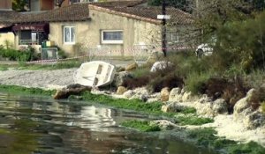 Istres : évacuation en cours des algues toxiques