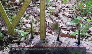 Sport : les vététistes font face à des pièges en forêt