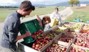 L'association "SOS Fruits" lutte contre le gaspillage alimentaire en Suisse